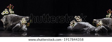 Fashion natural stone podium with white tiny flowers and water as japan shore at spring night on black color, banner for packaging and cosmetic presentation. 