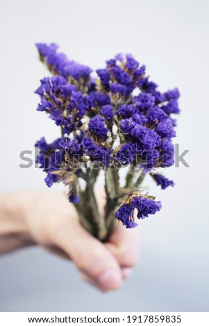 Purple flowers in a man's hand on a white background