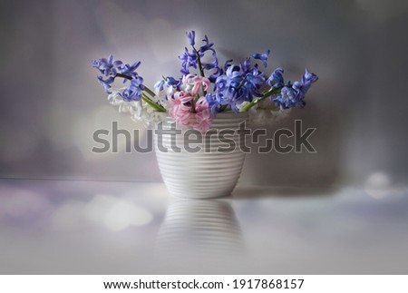 The Purple, Pink, Bule And White Spring Hyacinth In White Vase With Reflection, Stilll Life Photography