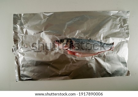 Photo picture of Sea bass on white background