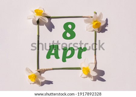 April 8st. Day 8 of month, calendar date. Frame from flowers of a narcissus on a light background, pattern. View from above. Spring month, day of the year concept