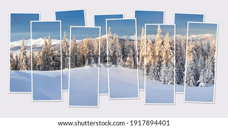 Isolated ten frames collage of picture of snowy winter landscape in mountains valley. Wonderful morning scene of Carpathian mountains. Mock-up of modular photo.
