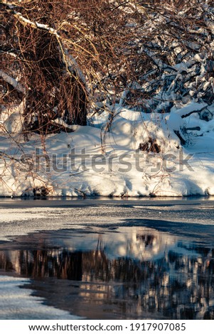 Icy river with a water hole. The forest behind the snow is illuminated by the sun.