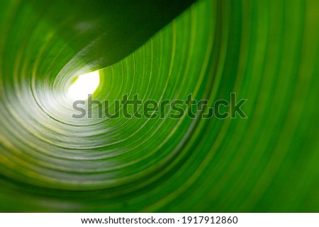 green natural plant leaf blurred abstract eco-friendly background