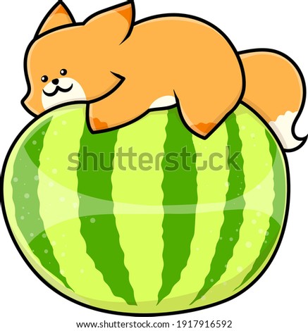 A cute sweet fox lies on a watermelon. Children's cartoon drawing suitable for printing, textiles, postcards. Vector. Isolated from the background
