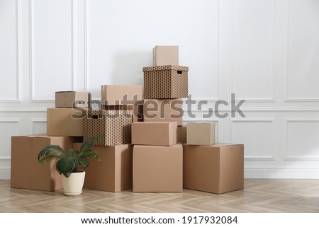 Heap of cardboard boxes and houseplant near white wall indoors. Moving day