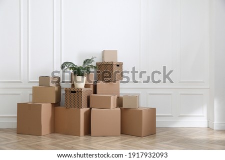 Heap of cardboard boxes and houseplant near white wall indoors, space for text. Moving day Royalty-Free Stock Photo #1917932093
