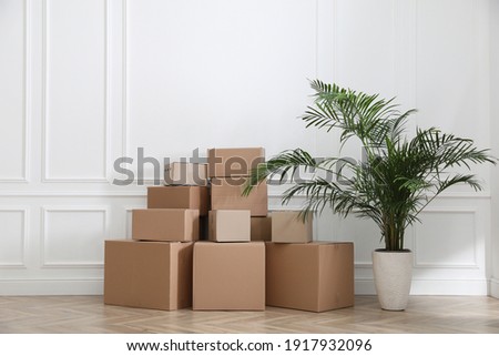 Heap of cardboard boxes and houseplant near white wall indoors. Moving day Royalty-Free Stock Photo #1917932096