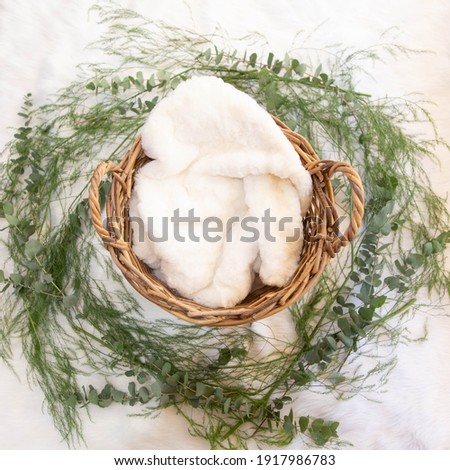 Newborn photo flatlay digital background backdrop basket with fur and leaves for boy or girl photography