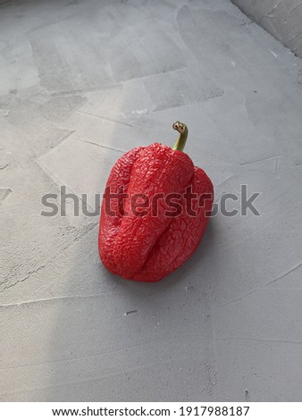 Sear red bell pepper on concrete background