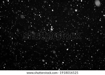 Real snow on black background, It is snowing, blend layer for screen, add