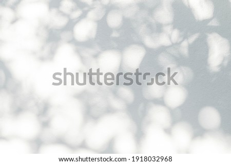 Leaf shadow and light on wall blur background. Nature tropical leaves plant and tree branch shade with sunlight on white wall texture Royalty-Free Stock Photo #1918032968