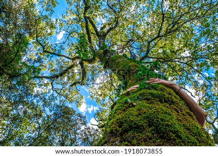 Low angle view of woman's hands hugging moss covered tree trunk Royalty-Free Stock Photo #1918073855