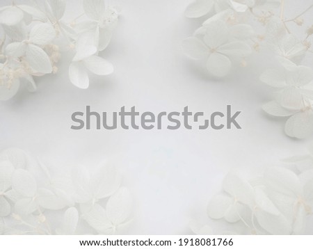 Flowers composition with frame made of white flowers hydrangea on white background. Wedding day, mothers day and womens day concept. Flat lay, top view.