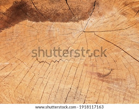 Wooden floor with a beautiful texture. Nature background in vintage style for graphics design or wallpaper. Close up abstract pattern of the table top view. Details of surfaces for interior decoration