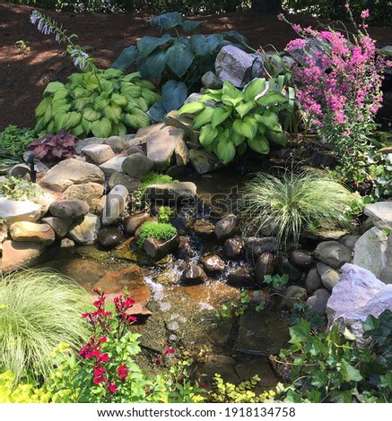 Summer Water Garden Stream Full Bloom