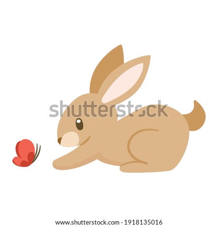 Cute Bunny Playing with Butterfly
 Cute rabbit and butterfly with on white background 