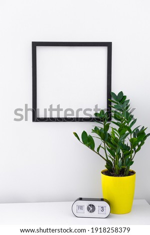 black empty frame on the wall zamiokulkas plant in a yellow flowerpot with a white clock with a calendar