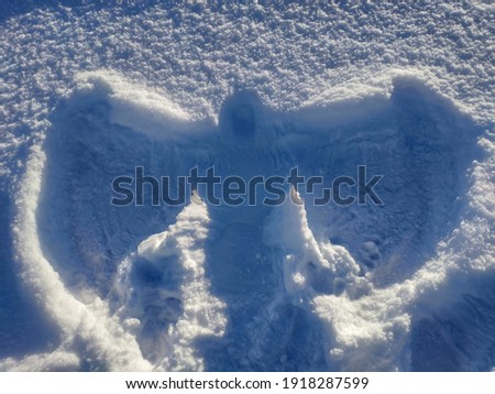 Angel in the white snow