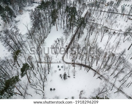 Paths in a snowy park. Aerial drone view. Winter snowy morning.