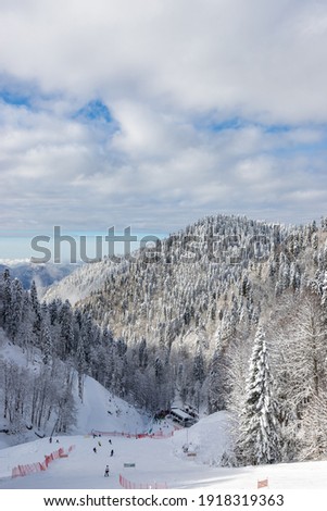 Beautiful snow landscape of snowy trees and ski slope of Roza Khutor ski resort. South part of mountains. Sochi, Russia.