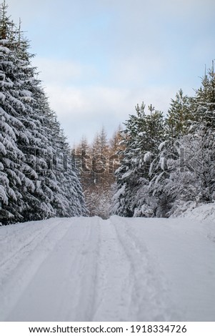 winter landscape in mountains with snow covered trees