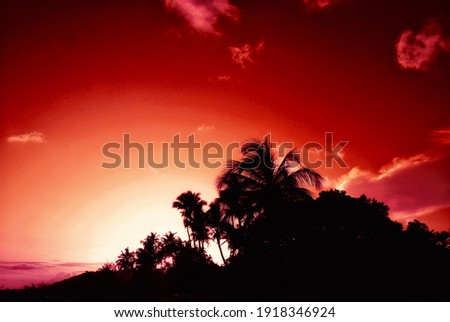 Sunset red and trees black dark Royalty-Free Stock Photo #1918346924