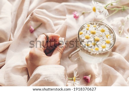 Hand holding white wildflower on background of soft beige fabric with glass cup with daisy flowers and jewelry in sunny light. Tender floral aesthetic. Creative summer image. Bohemian mood