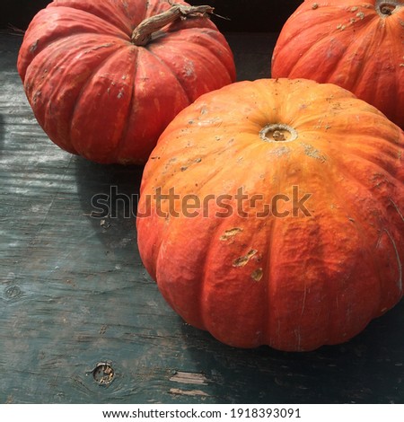 close up of three orange pumpkins in a green wooden farm stand bin