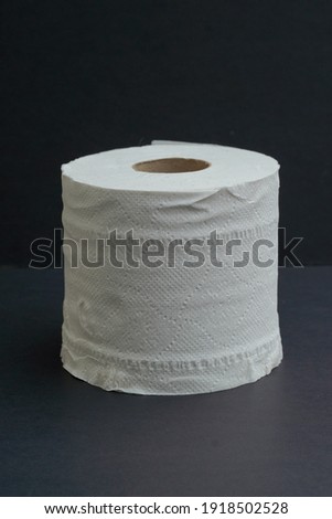 Toilet paper roll isolated on white background.                    