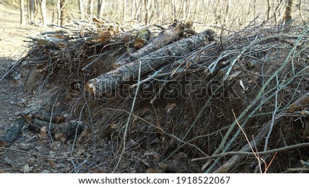 Tree branches piled up after Pruning Trees in the Sunny day Mountains
