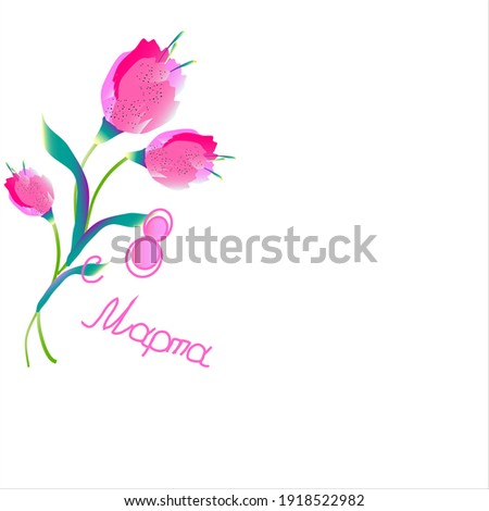 beautiful color flowers, isolated on a white