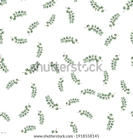 Eucalyptus tree foliage natural branches with green leaves tropical background, watercolor style. Vector seamless illustration, decorative cute elegant greenery on a white background