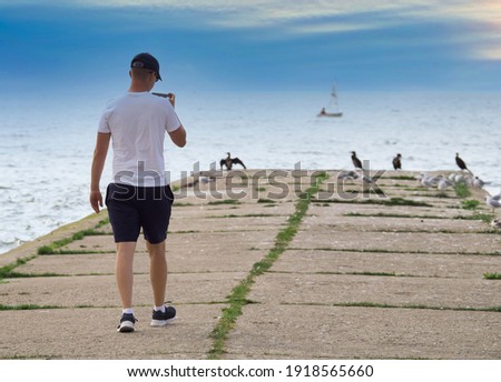 Young man takes pictures of seabirds by smartphone.