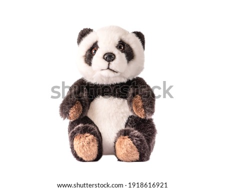 Toy panda on a white background. beautiful cute teddy bear Isolated.