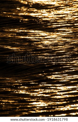 The picture of the golden sea water surface reflecting the sunlight