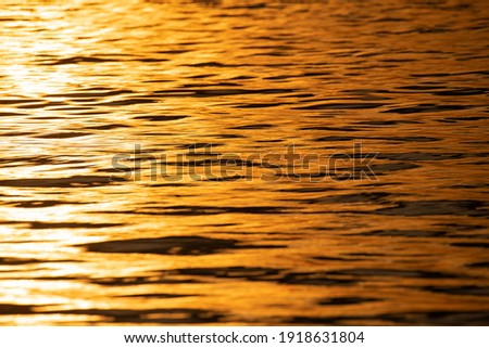 The picture of the golden sea water surface reflecting the sunlight
