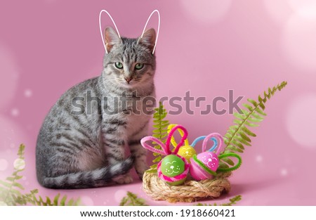 A striped gray cat with painted bunny ears sits next to a nest with Easter eggs with painted muzzles. Pink background. Horizontal format, holiday card for design. Place for text