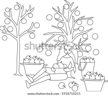 Female farmer gathering apples in basket. Black and white illustration. Coloring book.