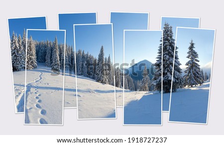 Isolated eight frames collage of picture of snowy winter scene of mountain valley. Frosty morning view of Carpathian mountains. Mock-up of modular photo.
