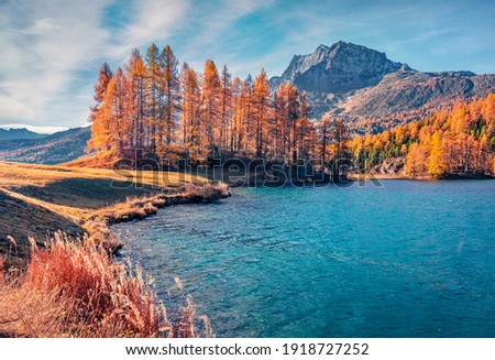 Beautiful Swiss scenery. Astonishing autumn scene of Sils Lake (Silsersee). Superb morning view of Swiss Alps, Maloja Region, Upper Engadine, Switzerpand, Europe. Landscape photography.
