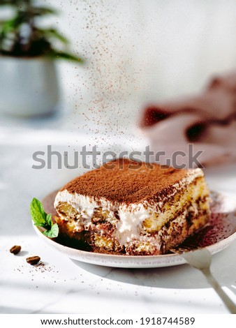 Perfect homemade tiramisu cake sprinkled with cocoa powder. Tiramisu portion on plate over white marble tabletop with green plant in pot on background. Delicious no bake tiramisu in natural daylight Royalty-Free Stock Photo #1918744589
