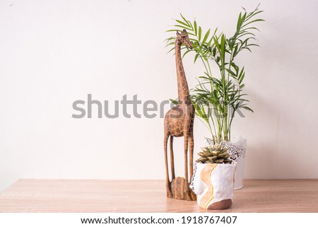 Palm  in a white pot stands on a wooden table.  Succulent and cactus white background. The concept of minimalism. Hipster scandinavian style room interior. Empty white wall and copy space.