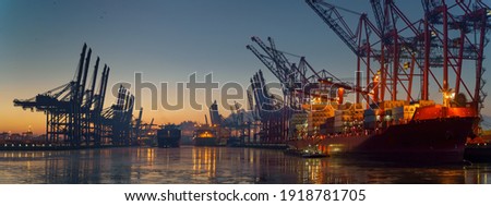 Container terminal in the port of Hamburg in the morning in freezing temperatures  Royalty-Free Stock Photo #1918781705