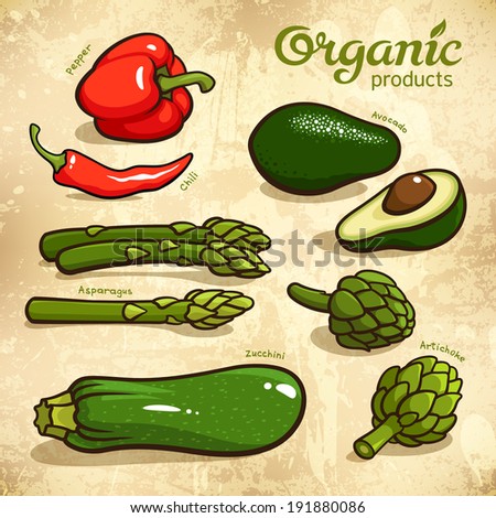 Vector set of vegetables: avocado, chili, pepper, asparagus, artichoke, zucchini
