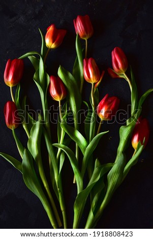 Composition with red tulips on a black background.
