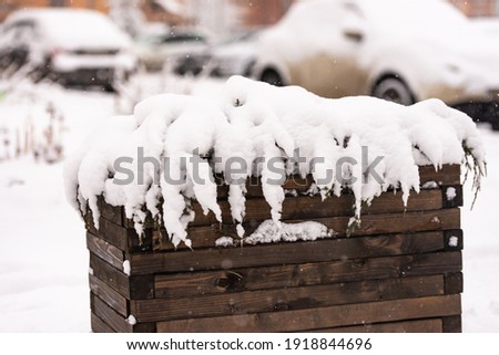 Wooden tub with plants in the snow. A tub in the city in winter is not only practical, but also beautiful.