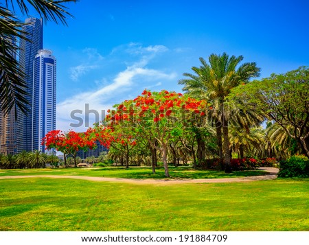 Garden in Dubai Royalty-Free Stock Photo #191884709