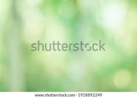 Natural bokeh.blurred photo Natural green trees Lawn and trees green background.