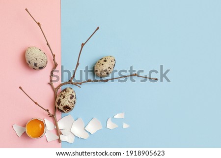 Decorative composition - quail eggs and a spring branch on a delicate pink-blue background. The concept of the Easter celebration, the diet of proper nutrition. Top view, flatly.